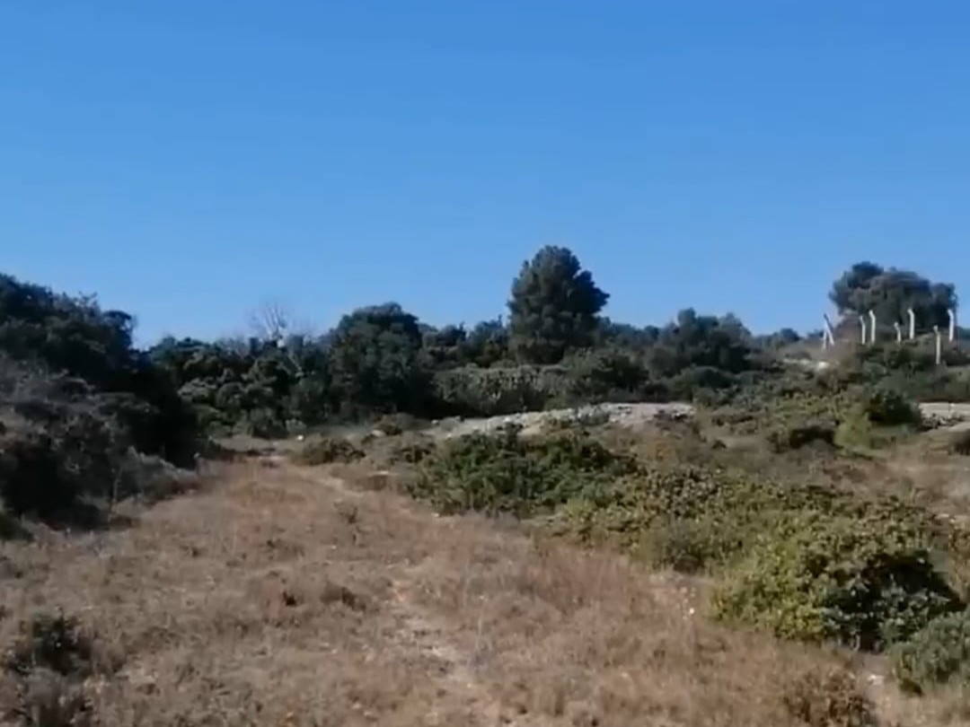 Çınar Gayrimenkul